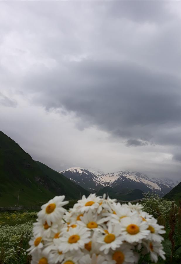 Maxvshi Hotel Ushguli Buitenkant foto