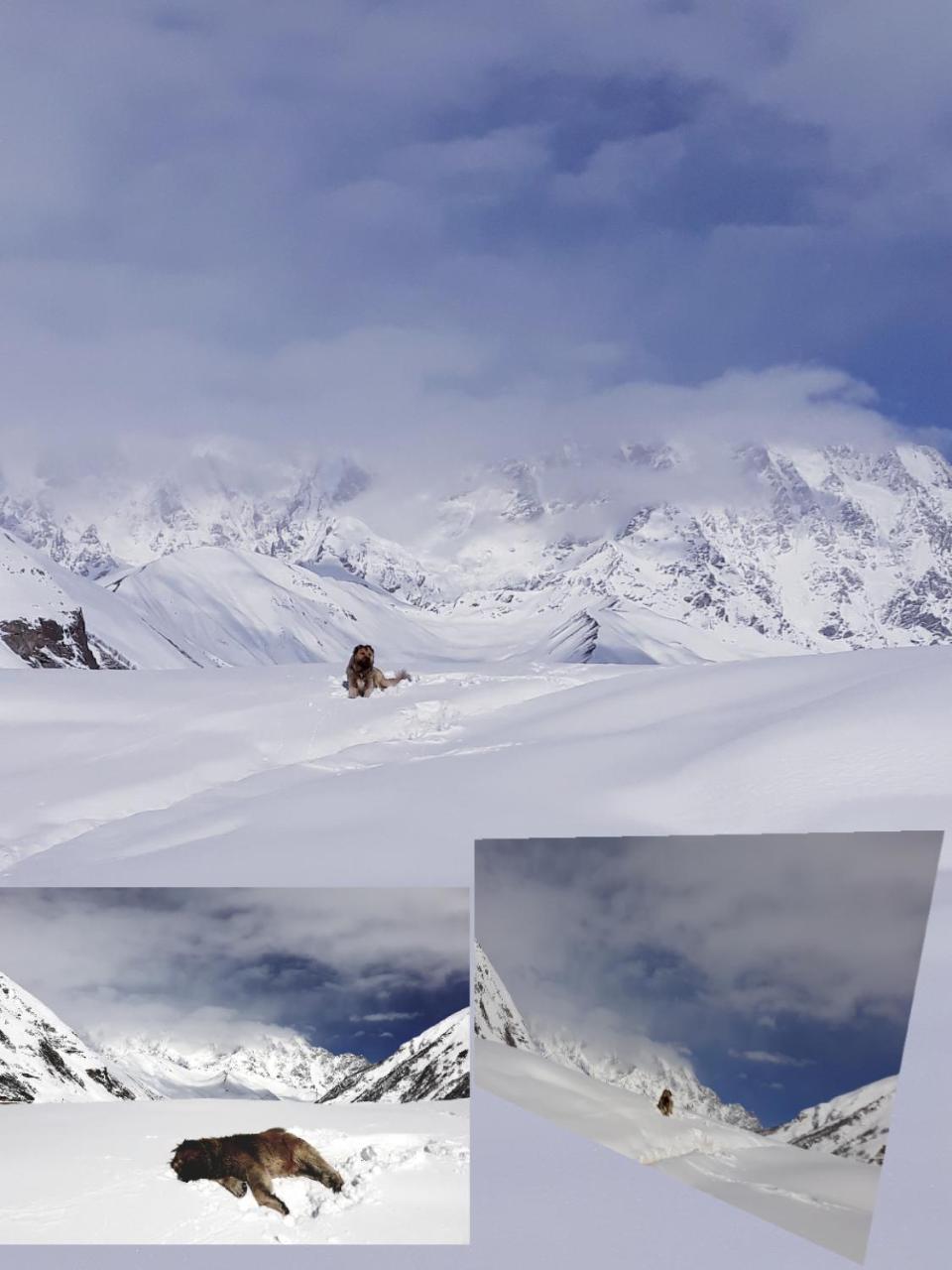 Maxvshi Hotel Ushguli Buitenkant foto