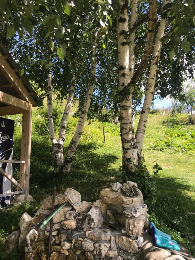 Maxvshi Hotel Ushguli Buitenkant foto